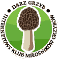 Patron medialny NaGrzyby.pl